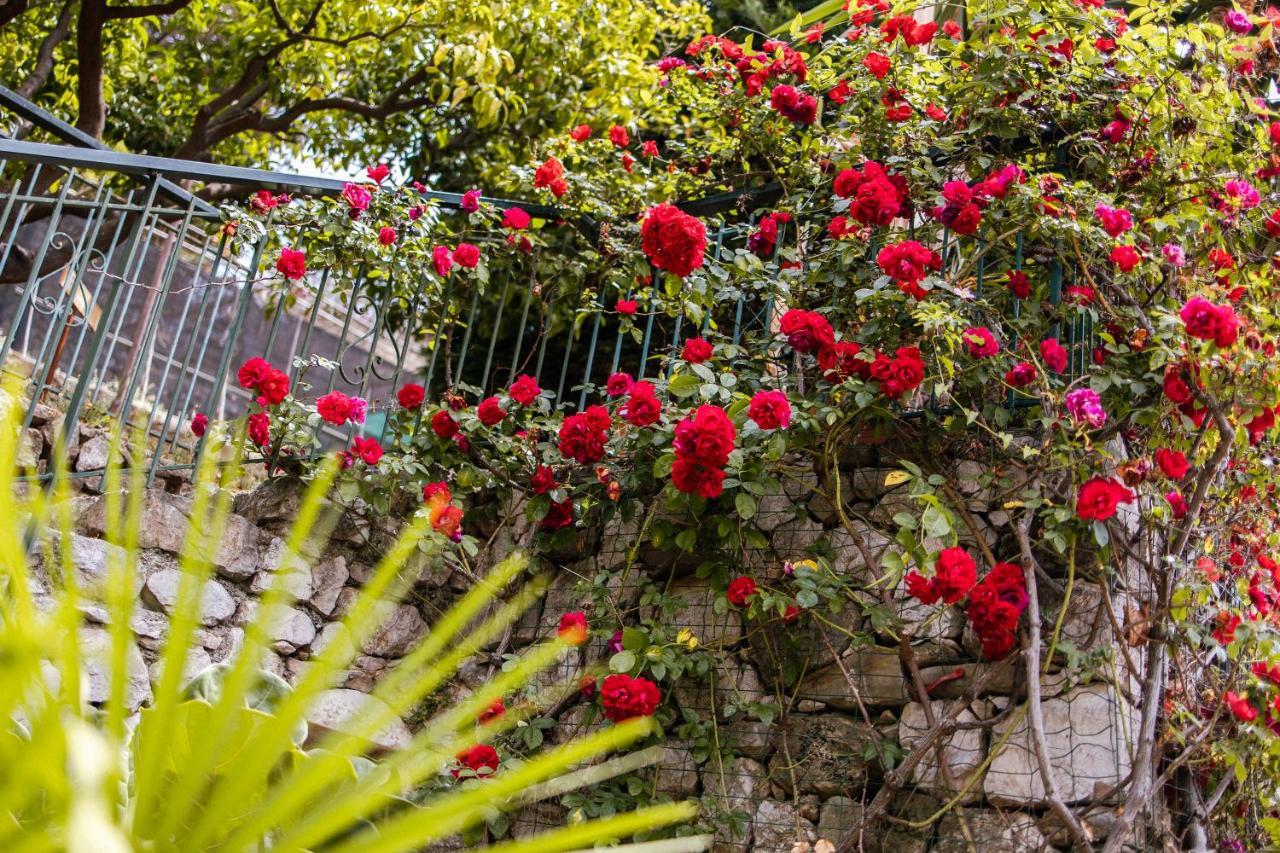 Ascheri Country House - Grimaldi, Ventimiglia Exteriör bild